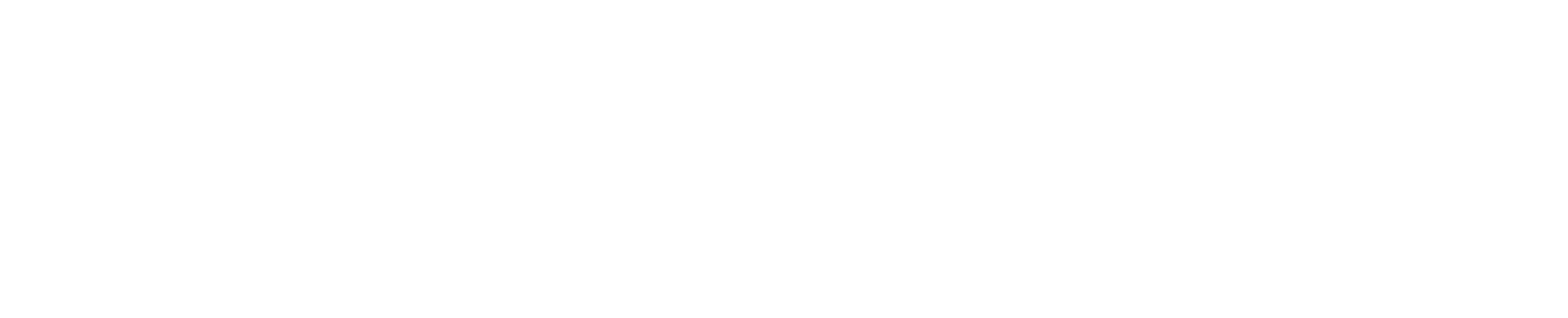 Ethereal Inc.